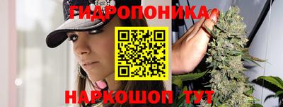 jwh Краснодар
