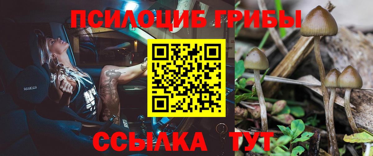 Псилоцибиновые грибы Magic Shrooms  Вход с VPN  Псилоцибиновые грибы Cubensis  Заволжье 