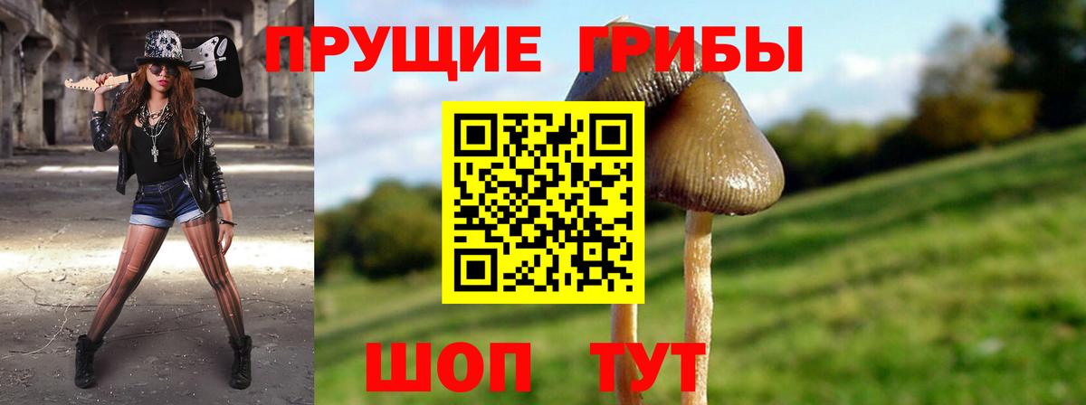 Галлюциногенные грибы прущие грибы Заволжье